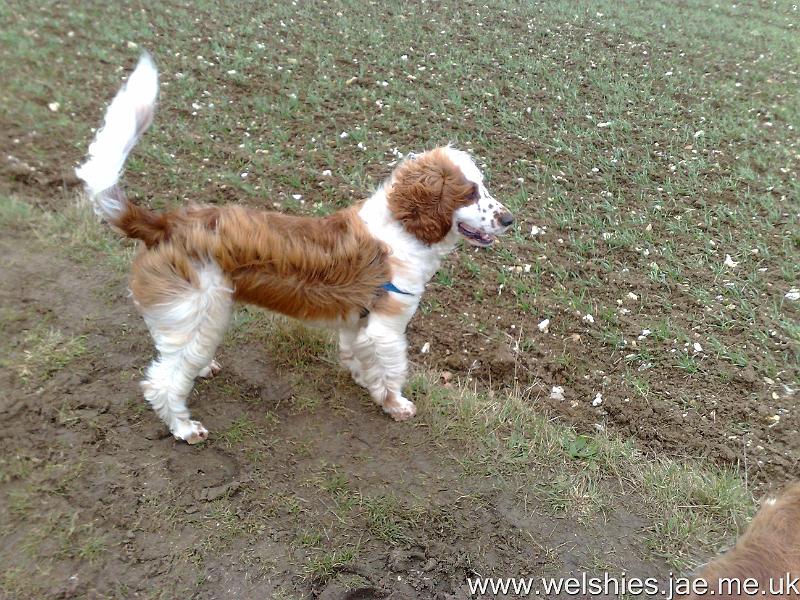 2011-02-05 09.jpg